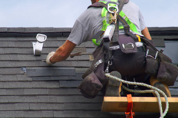 Best Roof Moss and Algae Removal  in Little River Academy, TX